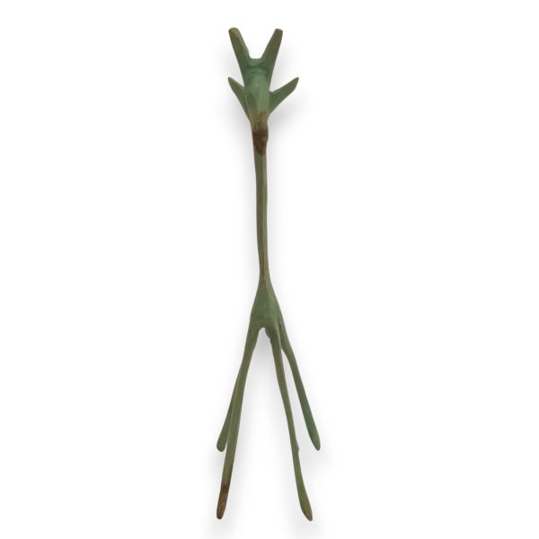 ORNAMENT - Image 2