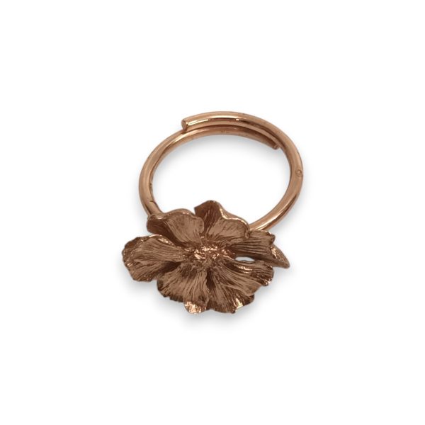 RING - Image 2